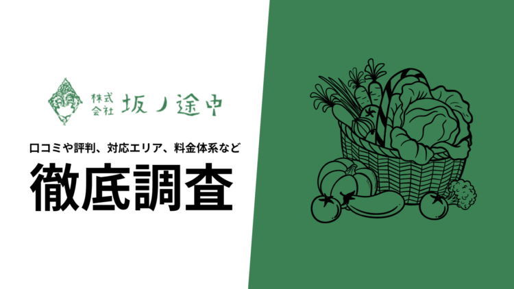 【2024年度9月最新版】坂ノ途中・旬のお野菜セットの口コミや評判、選ばれる理由、料金について徹底解説